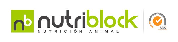 Imagen de la diapositiva