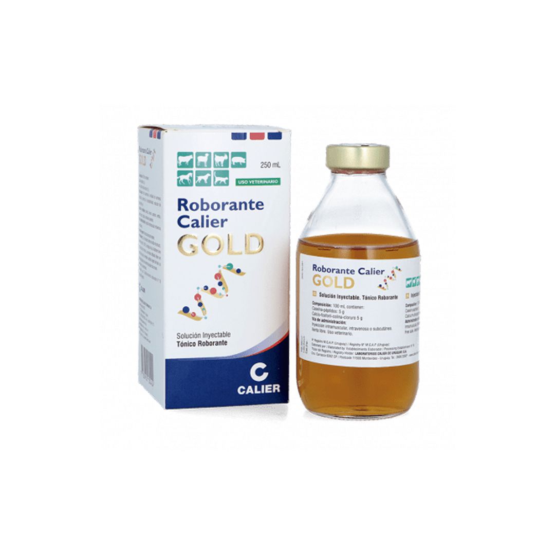 Odoo - Prueba 1 a tres columnas