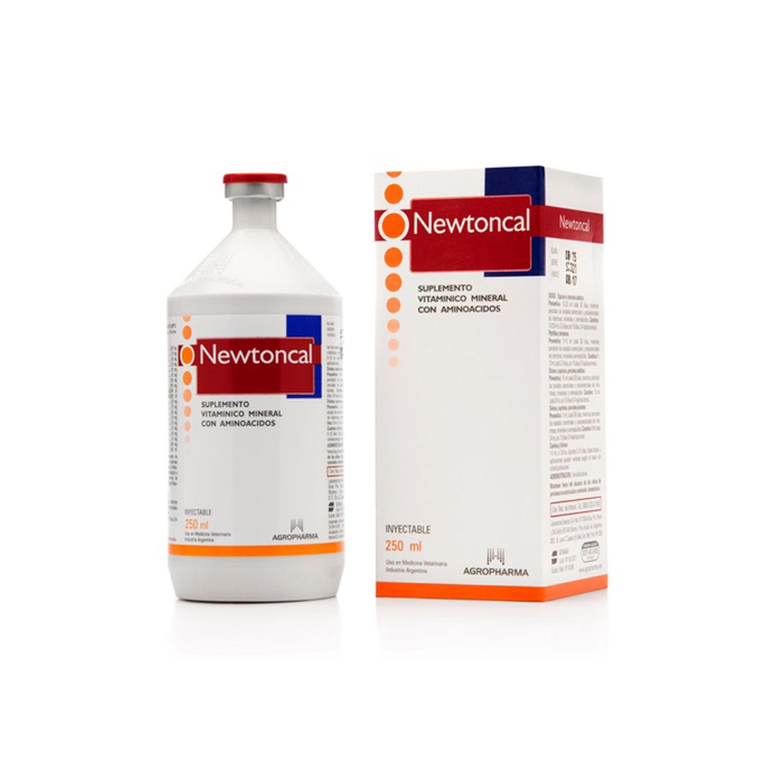 Odoo - Prueba 2 a tres columnas