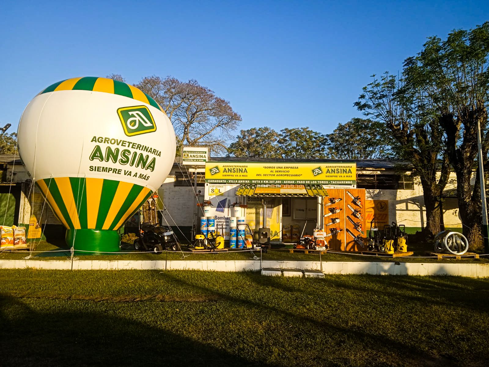 Odoo • Imagen y texto