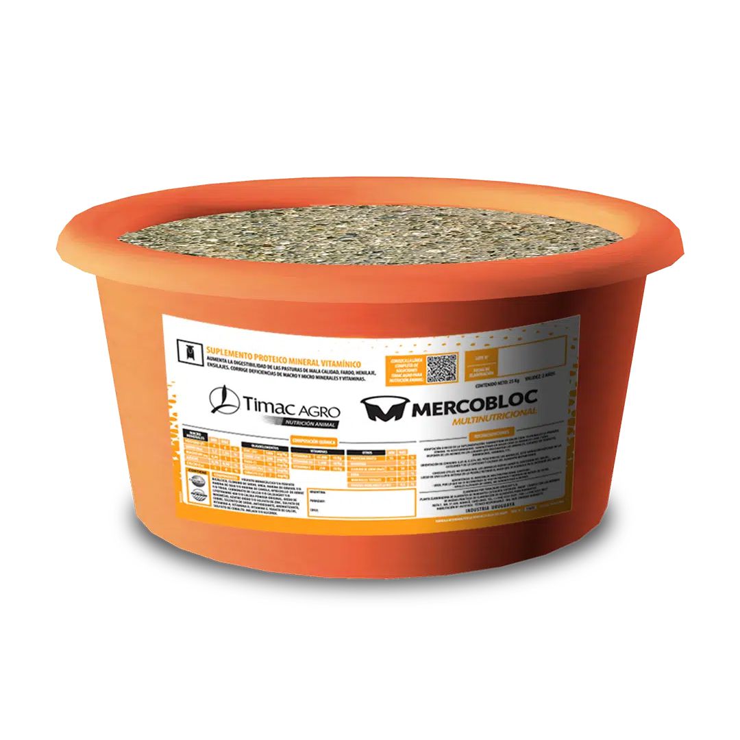 Odoo - Prueba 2 a tres columnas