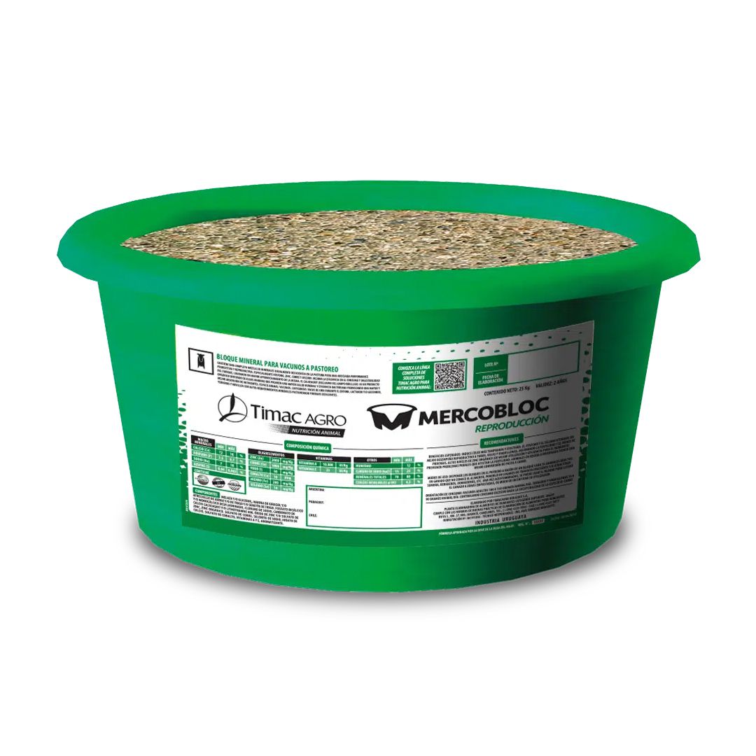 Odoo - Prueba 2 a tres columnas