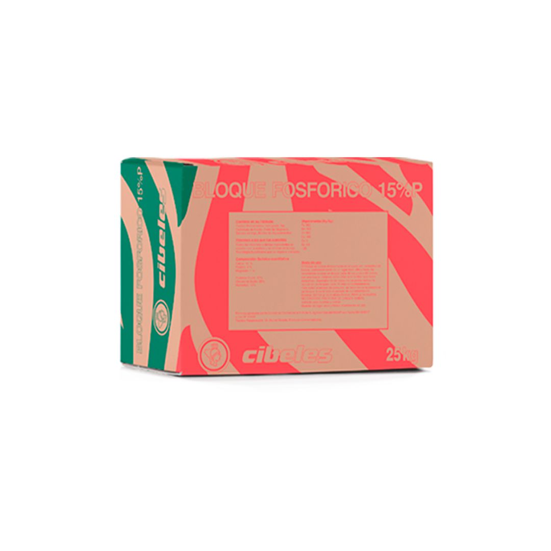 Odoo - Prueba 2 a tres columnas