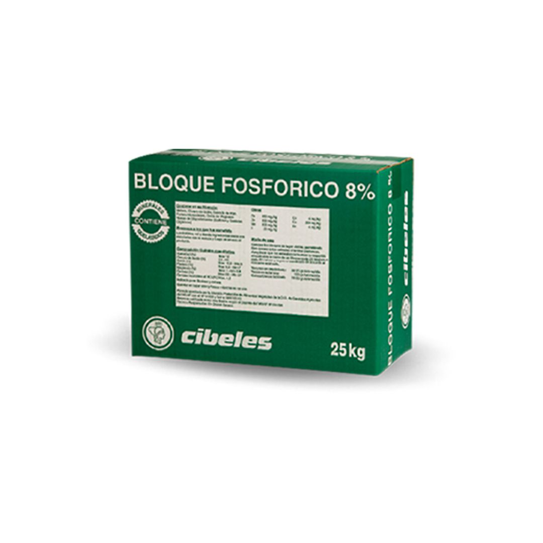 Odoo - Prueba 2 a tres columnas