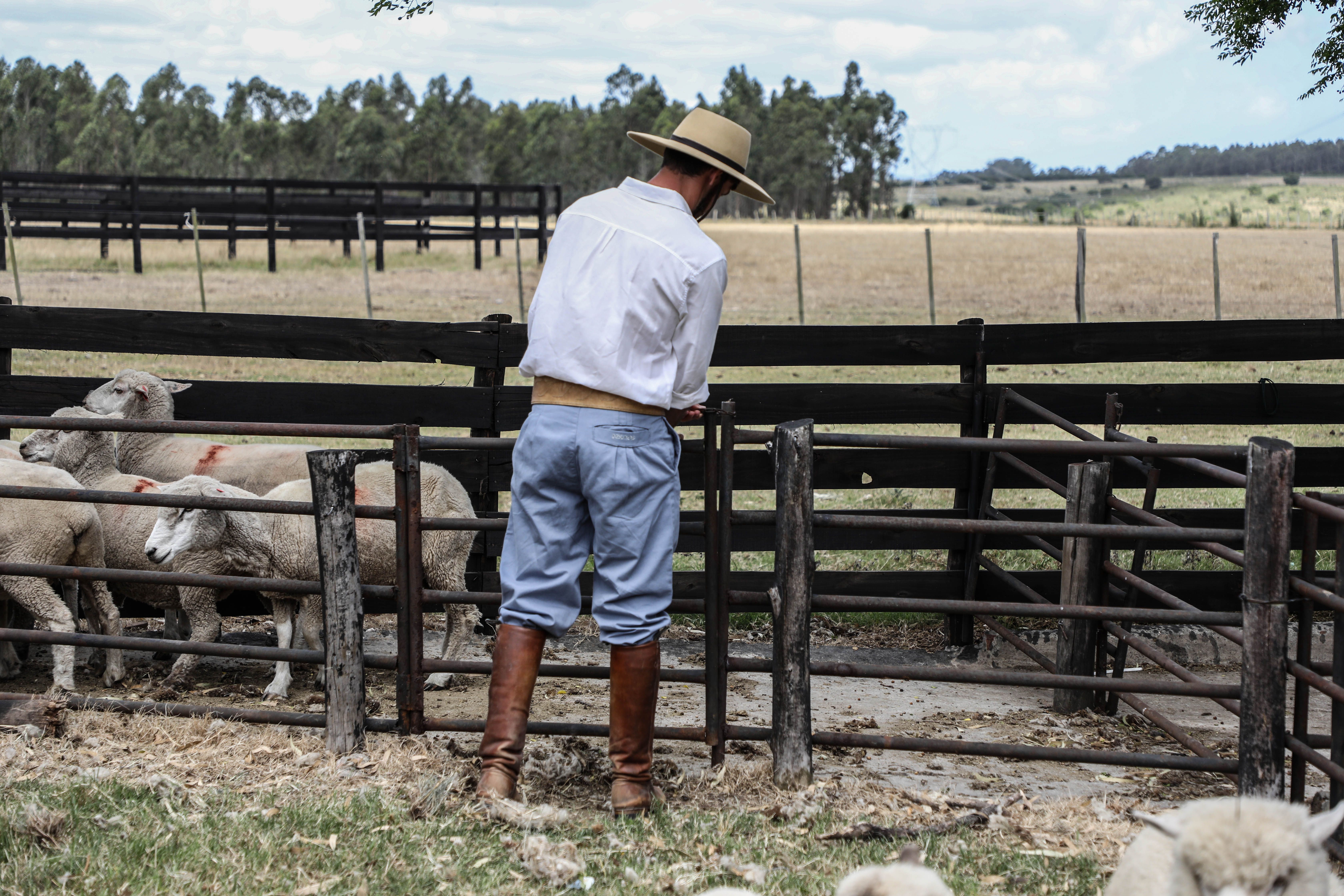 Odoo - Prueba 3 a tres columnas